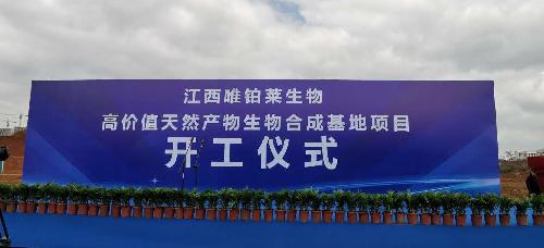唯鉑萊項目開工奠基了!